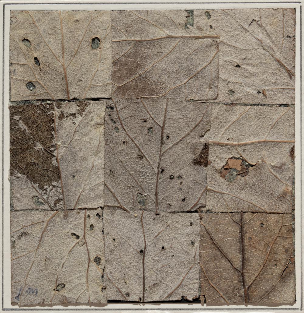 Natuurcollage